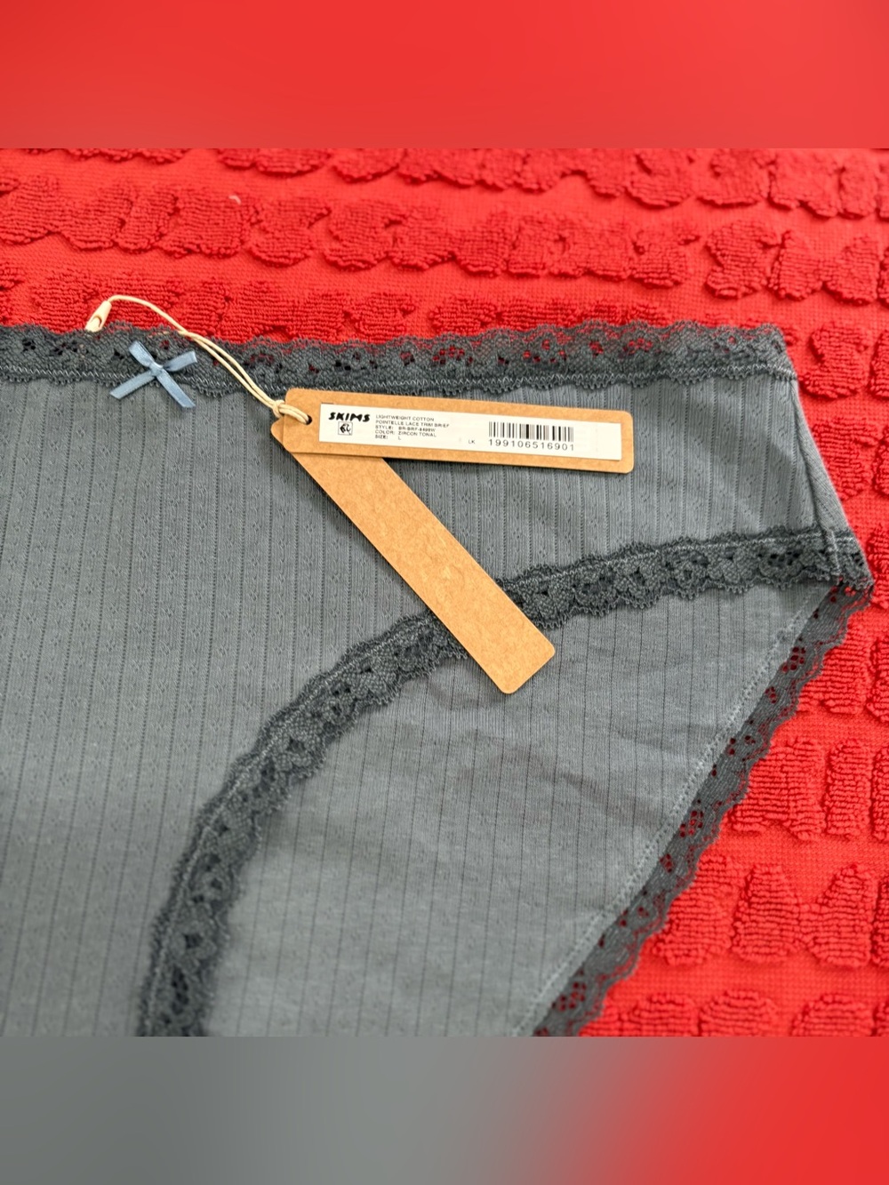 π©Άπ SKIMS Lightweight Cotton Pointelle Lace Trim Brief | Zircon Tonal | L - Picture 5 of 7